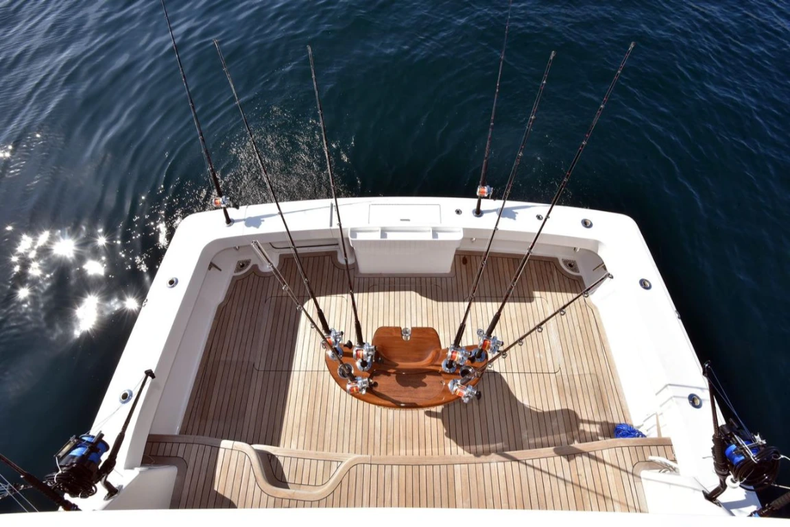 WhatsApp-Image-2025-02-10-at-2.53.52-PM-2