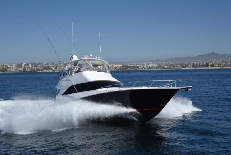 WhatsApp-Image-2025-02-10-at-2.53.52-PM-900x604